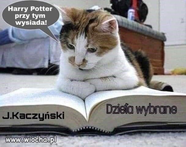 Czytaliście już dzieła?