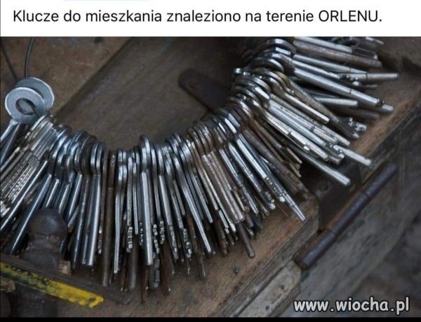 Znaleziono 
