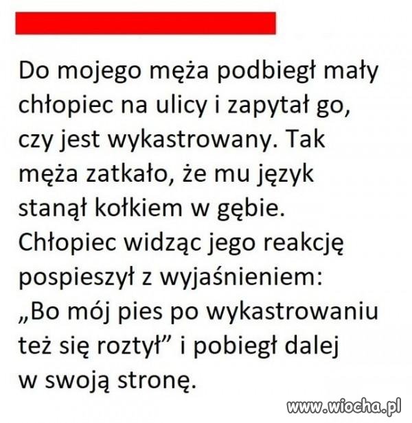 Żonaci