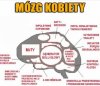 Mózg kobiety 