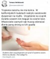 Lewackie poszukiwanie rasizmu.