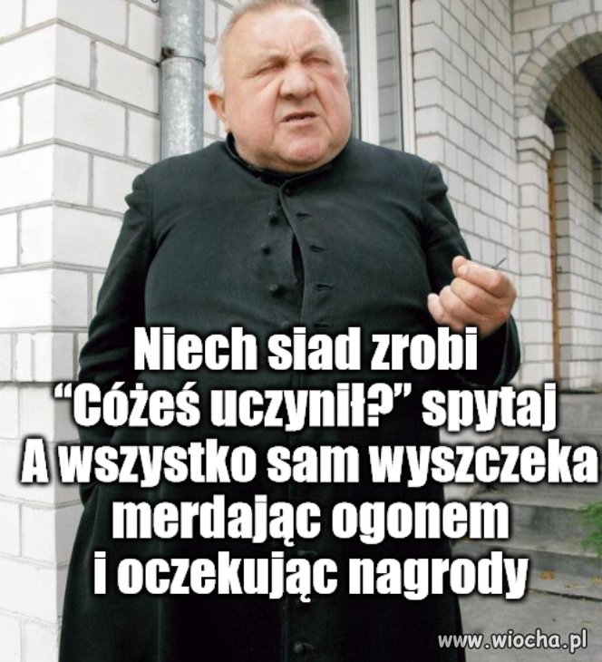Treserzy 6