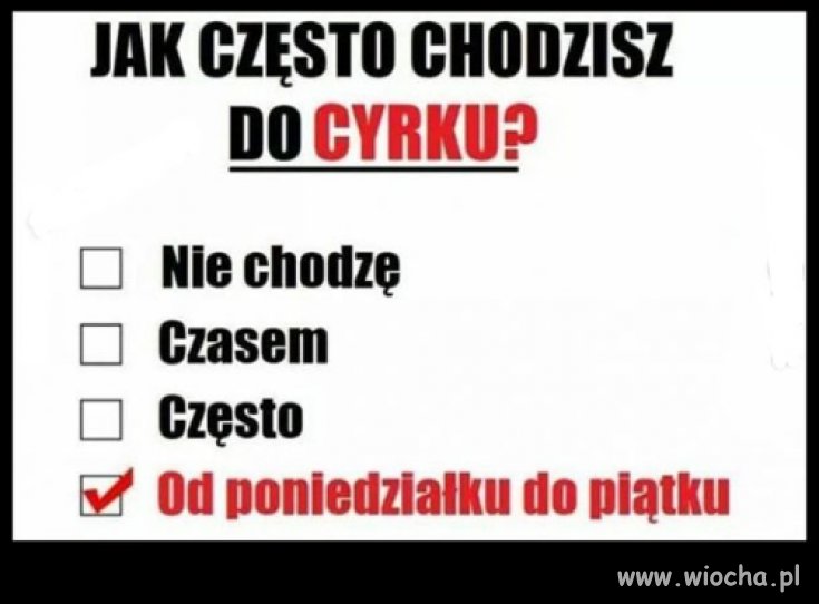 CYRK 