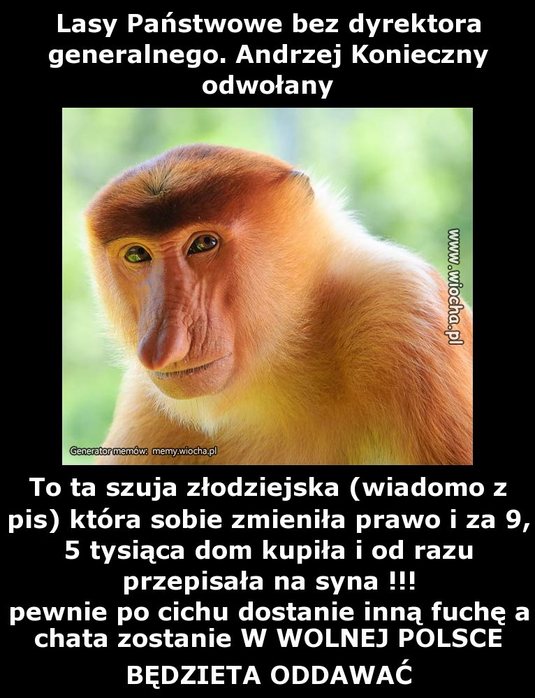 Lasy Państwowe bez dyrektora generalnego. Andrzej