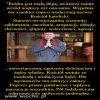 To wszystko napisał Jerzy Urban...
