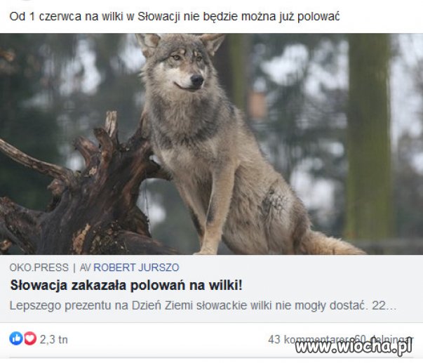 Brawo Słowacja!