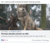 Brawo Słowacja!