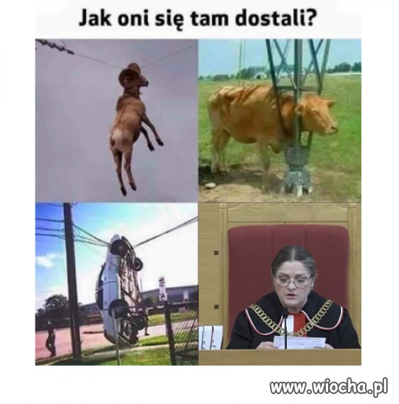 Dość ciekawy temat