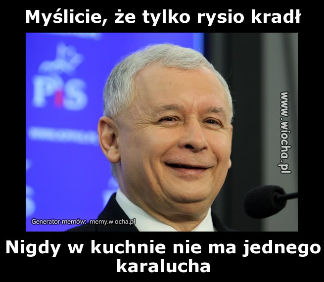 Myślicie, że tylko rysio kradł