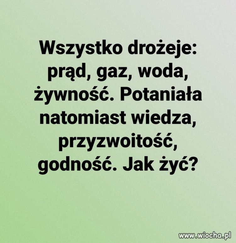 Wszystko 
