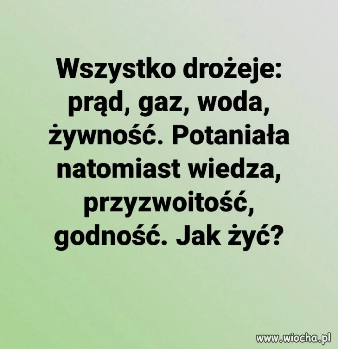 Wszystko 