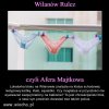 Afera Majtkowa w chrześcijańskim bloku...