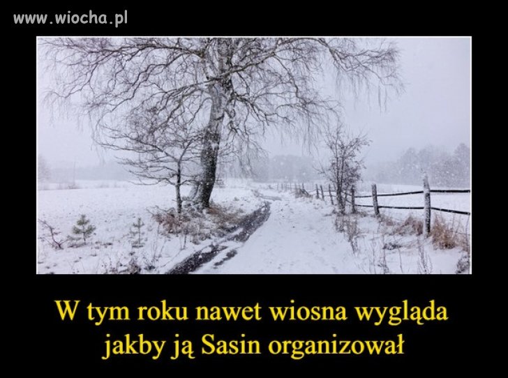 Trudno się nie zgodzić