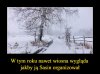 Trudno się nie zgodzić