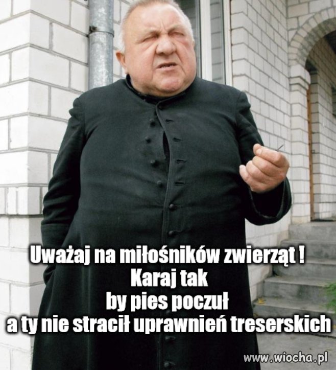 Treserzy 7