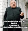 Treserzy 7