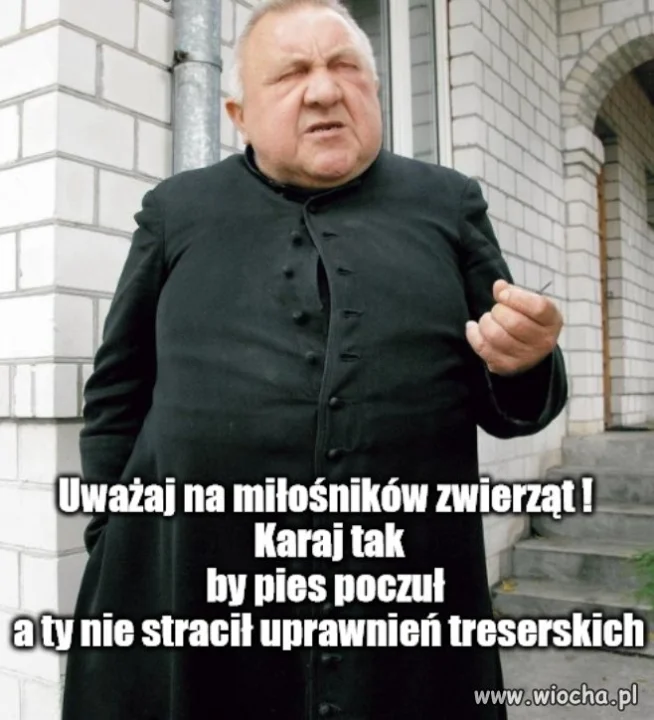 Treserzy 7