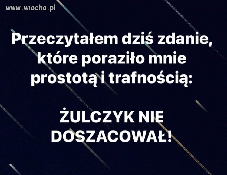 W punkt.