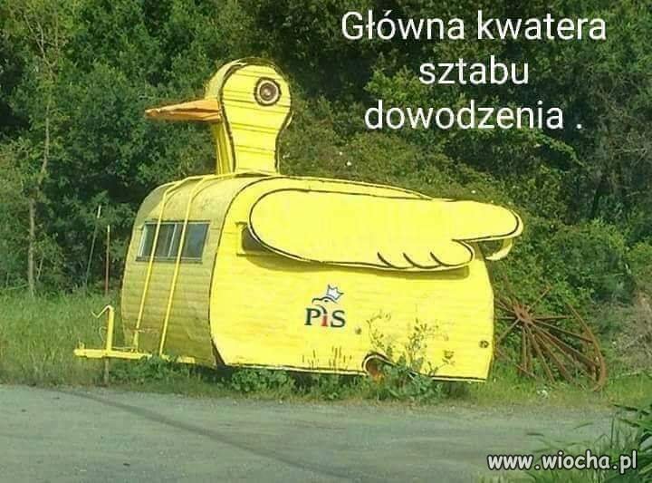 Główna 