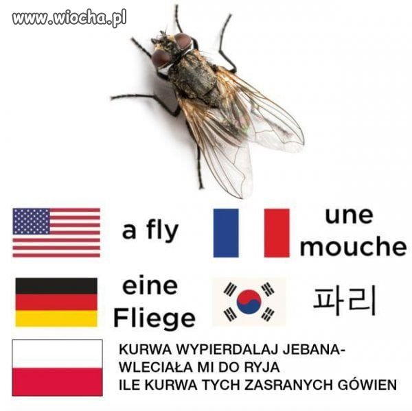 Rozpoczęcie sezonu