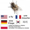Rozpoczęcie sezonu