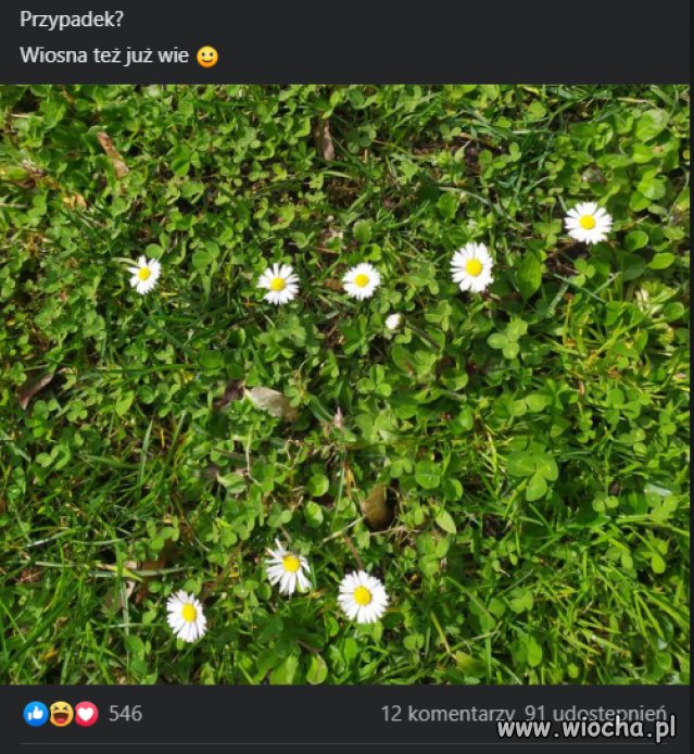 Wiosna