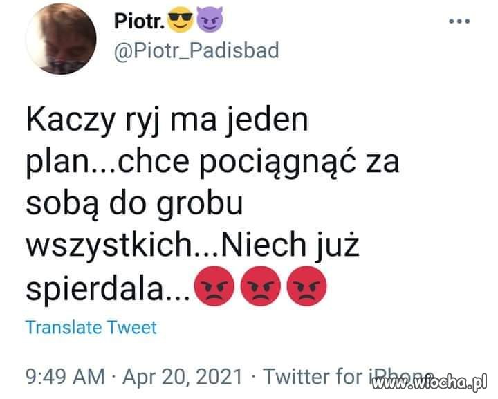 Jeden 