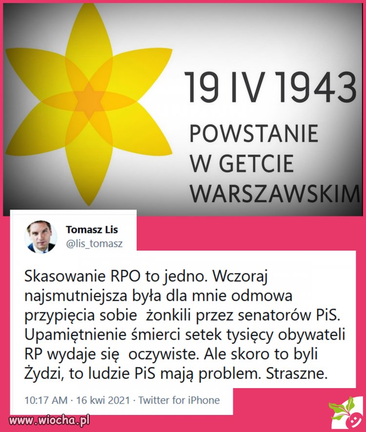 Bez tytułu 