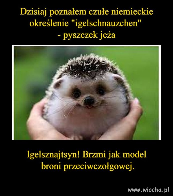 Taka prawda