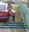 Bak pełny,