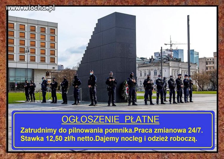 Szukają 