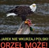 Możeł 