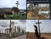 Drzewa, to se mogą rosnąć w lesie, a nie zasłaniać