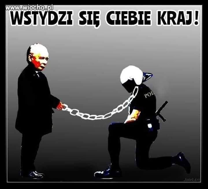Pis milicja