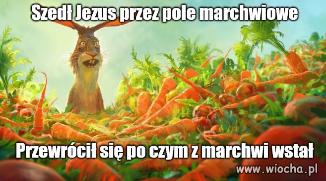 Powiedzonka