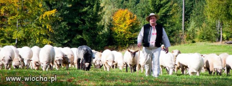 Horała sprząta pas startowy