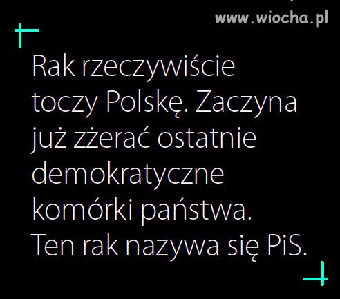 Kaczyński, nazywając opozycję rakiem toczącym Polskę