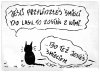 Dokładnie tak !!!