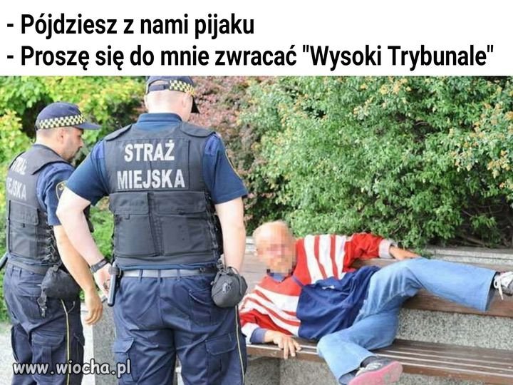 Trochu kultury 