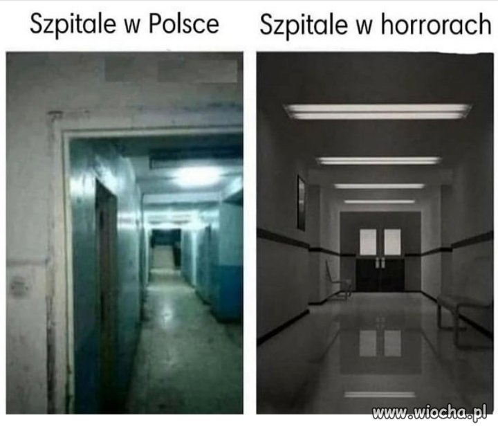 ☆☆☆☆☆ ☆☆☆