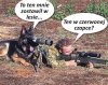 Na polowaniu 