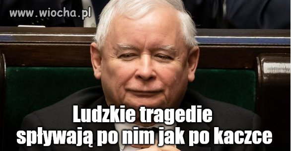 Ach, te basałyki z PIS-u