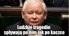 Ach, te basałyki z PIS-u