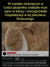 Kasza 