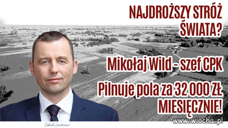 Za pilnowanie pola w Baranowie inkasuje 32 000 zł/m-c. 