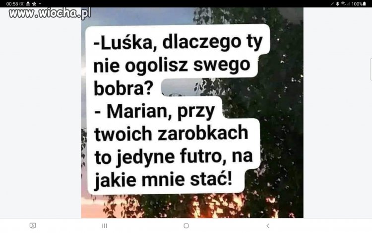 Futro