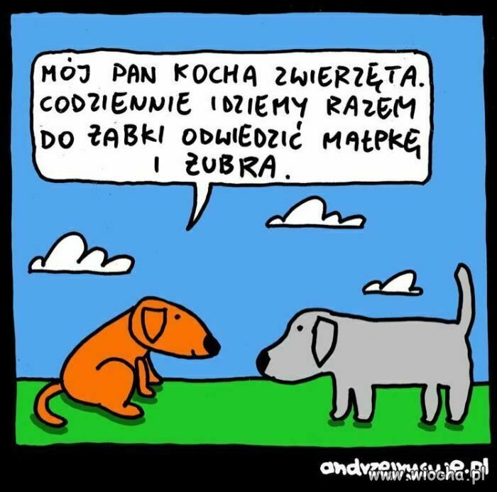 Kochane zwierzątka