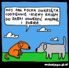 Kochane zwierzątka
