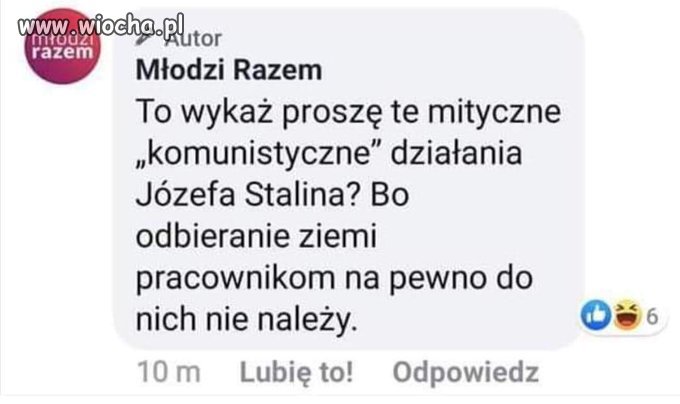 Socjaluchy, karaluchy