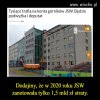 Święte krowy